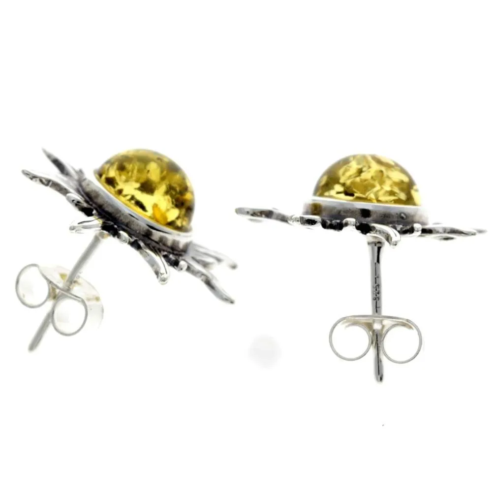 925 Sterling Silver & Baltic Amber Sun Stud Earrings 8222